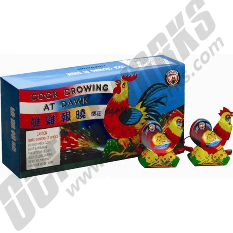 Hen Laying Eggs 24/pk